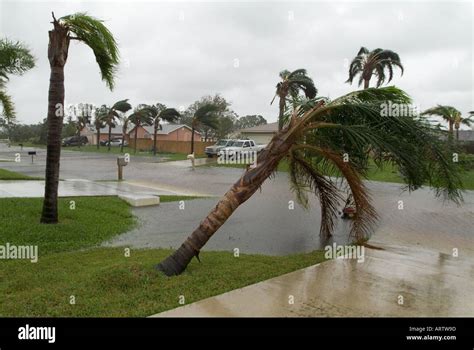 Hurricane Wilma South Florida street flooding road damage palm tree ...