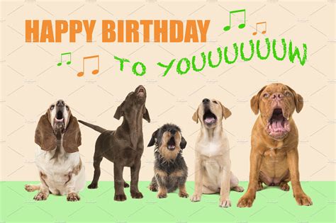 Dogs singing Happy Birthday | High-Quality Animal Stock Photos ~ Creative Market