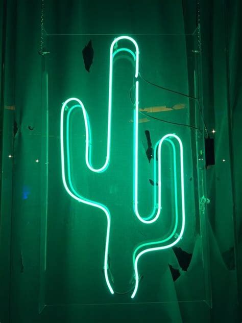 neon aesthetics | aesthetic cactus and neon green image neon green ...