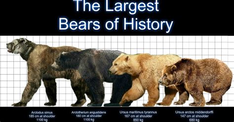 Extinct Animal of the Week: The Biggest Bear