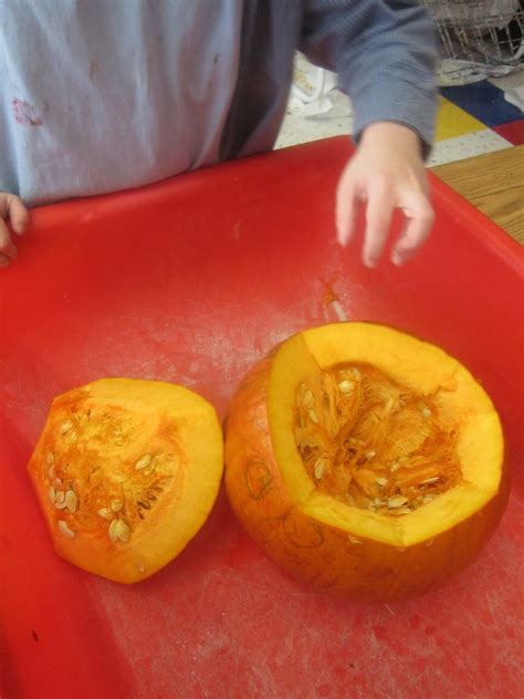 KAMP KIDSPACE: Roasting Pumpkin Seeds