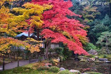 Gardens and Temples of Kyoto, JapanSoma Images