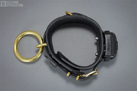 DSG - Leather Shock Collar - Discerning Specialist