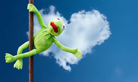 Pole Dance Kermit Fun Stuffed - Free photo on Pixabay - Pixabay