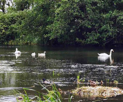 Johnstown Castle - Estate, Museum and Gardens - Wexford Trails