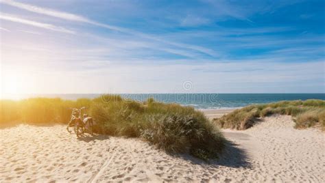 Bicycle Tour at the Dunes on North Sea in Zeeland, Netherlands Stock ...