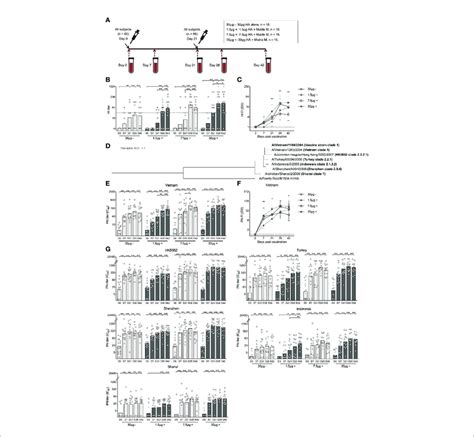 | Adjuvanted H5N1 vaccine rapidly elicited strain specific and ...