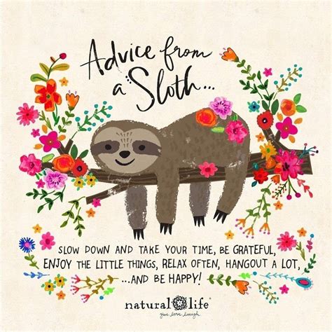 Pin by Treasure Hunters Gallery on Chirps | Natural life quotes, Sloth, Happy quotes