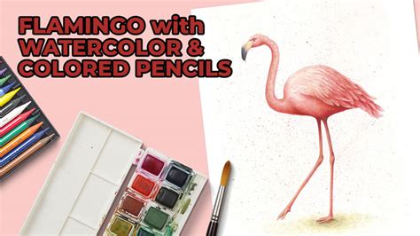 How to Draw a Flamingo with Watercolor and Colored Pencils