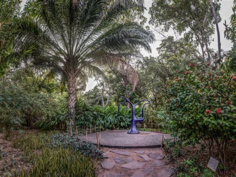 Photographs of the Botanical Garden of Culiacan, Sinaloa 2020 ️