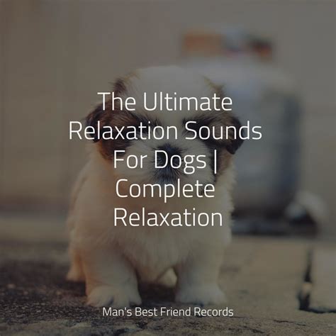 The Ultimate Relaxation Sounds For Dogs | Complete Relaxation - Album by Jazz Music for Dogs ...