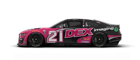 Paint Scheme Preview: 2023 Darlington-1 weekend | NASCAR