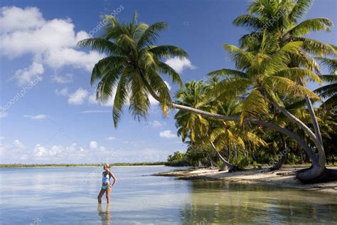 Cook Islands - South Pacific Ocean Stock Photo by ©Steve_Allen 17029579