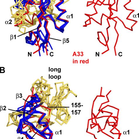 (PDF) The Structure of the Poxvirus A33 Protein Reveals a Dimer of Unique C-Type Lectin-Like Domains