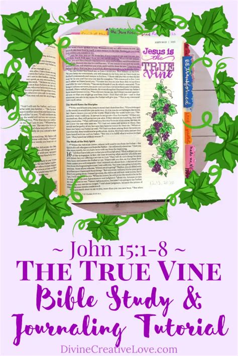 The Vine and the Branches: Bible Journaling & Study | Divine Creative Love