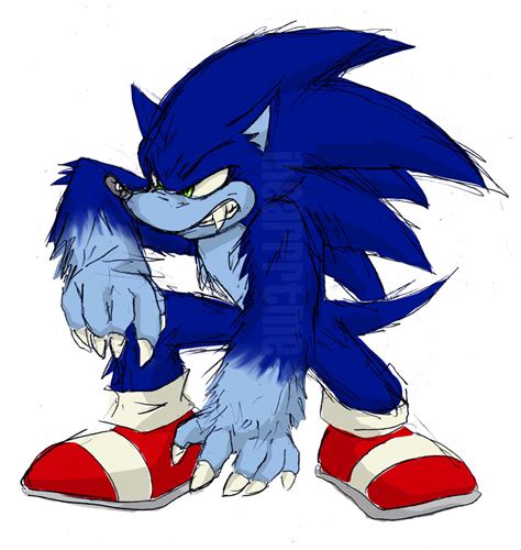 Sonic the werehog - Sonic the Werehog Photo (18631420) - Fanpop