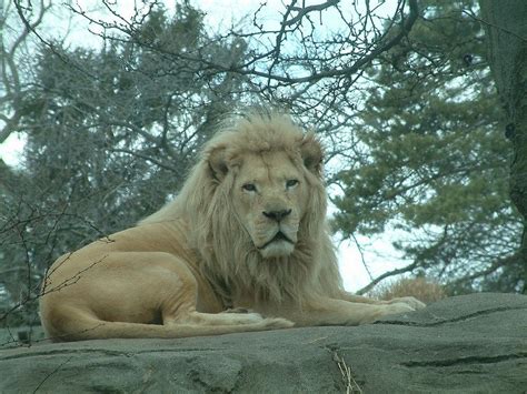 Toledo Zoo 2013. | Zoo, Animals, Toledo