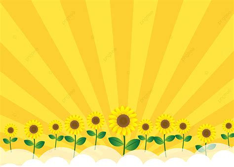 Sunflower Cartoon Wallpaper | PixLith