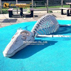 Pliosaurus Skeletons for Museum Exhibition | MY DINOSAURS