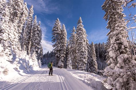 The best cross-country skiing terrain is the Pokljuka plateau