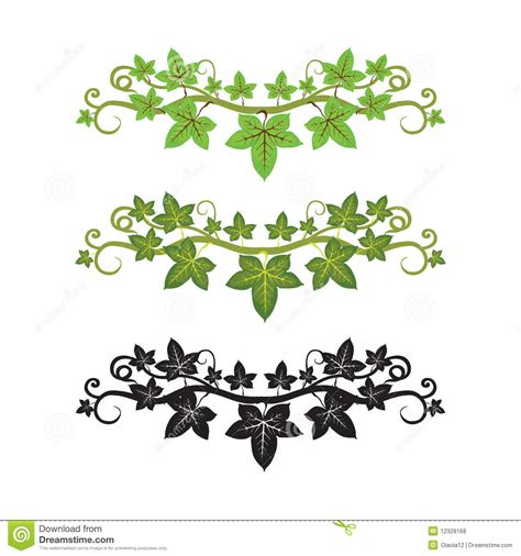 Ivy clipart 20 free Cliparts | Download images on Clipground 2024