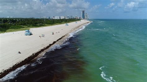 Sewage, dangerous bacteria are entering oceans, closing Miami beaches | The Miami Hurricane