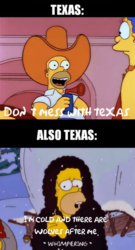 30 Funny Texas Freeze Memes To LMAO At If It Hasn't Frozen Off First