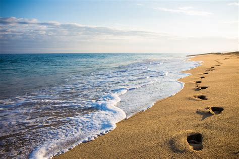 Bigstock_-73059104—Close-Up-Of-Footprints-In-The-Sand-At-Sunset | Dr ...