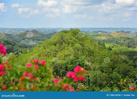 The Chocolate Hills Geological Formation in Philippines Stock Photo ...