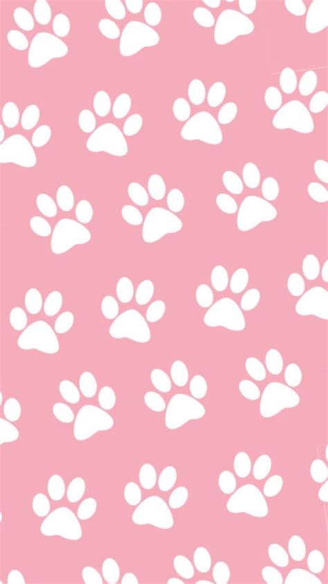 Top 999+ Paw Print Wallpaper Full HD, 4K Free to Use