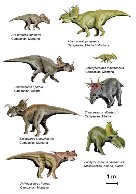 The Tamura Centrosaurines | Dinosaur fossils, Prehistoric animals, Dinosaur