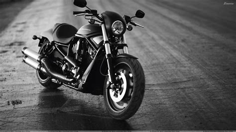 Free download 50 Free Harley Davidson Wallpapers Hd for PC [1920x1080] for your Desktop, Mobile ...
