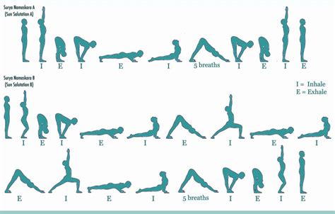 Dynamic Stretching: Sun Salutation B | Saluto al sole yoga, Ashtanga yoga, Yoga flow