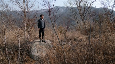 In Korean DMZ, Wildlife Thrives. Some Conservationists Worry Peace Could Disrupt It : NPR