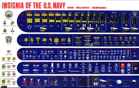 Alfa img - Showing > Navy Military Ranks and Insignia