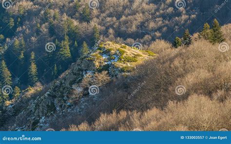 First Snow on Rocky Hills of Montseny Mountain Forests Stock Image ...