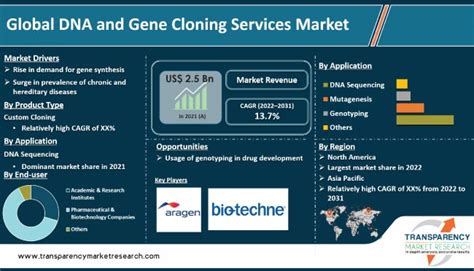 DNA and Gene Cloning Services Market Insight to 2031