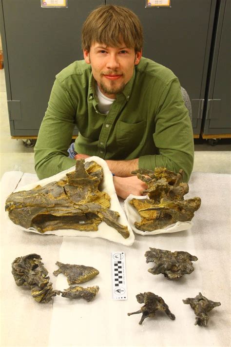 Rare skull of baby diplodocus shows how giant dinosaurs grew way, way up | CBC News