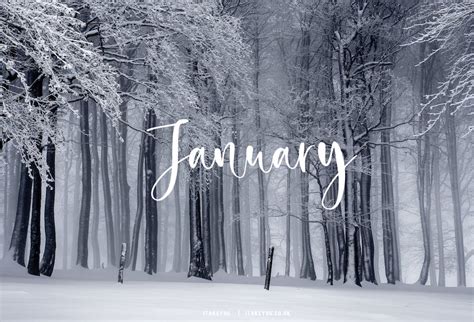 30+ January Wallpaper Ideas for 2023 : Forest Covered in Snow I Take You | Wedding Readings ...