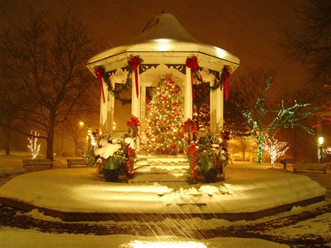 Welcome to ParadeOfGardens.com | Outdoor christmas decorations, Christmas scenes, Hanging ...