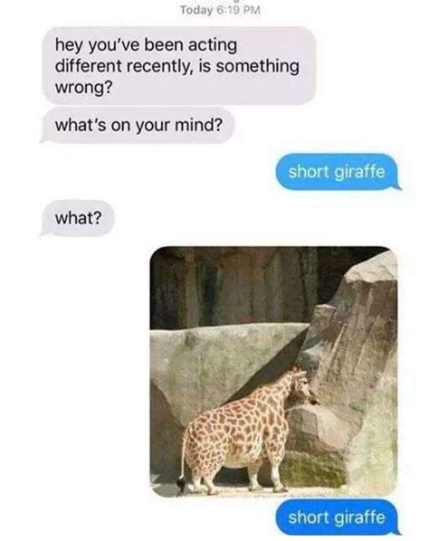 The best giraffe memes :) Memedroid