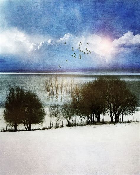 melancholic... Art Print by Viviana Gonzalez | Society6