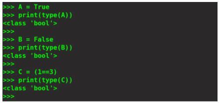 The Ultimate Boolean in Python Tutorial for 2021