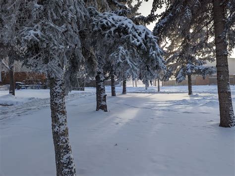 Extreme cold breaks more weather records - My Grande Prairie Now