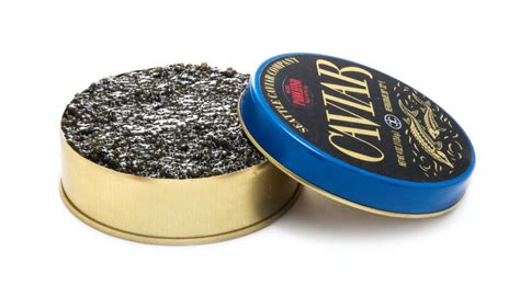 Paddlefish – Seattle Caviar Co.