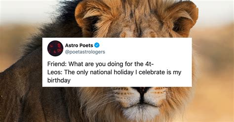 These 30 Leo Season Memes Will Have You Roaring | Darcy