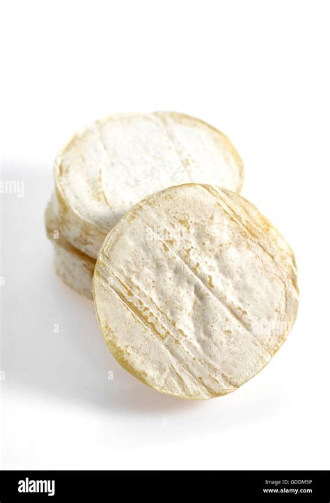 French Cheese called Rocamadour, Cheese made with Goat's Milk Stock ...