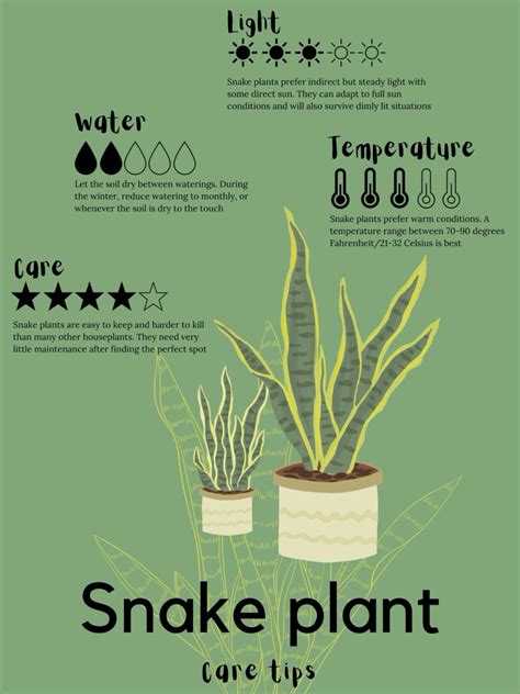 some plants that are in pots with water and light on them, the words ...