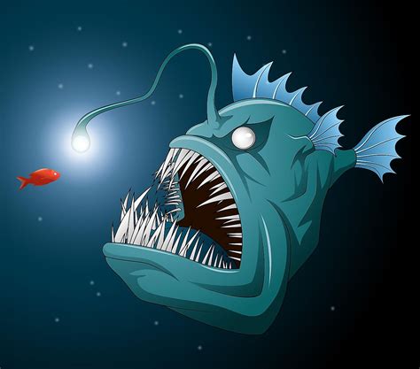 Anglerfish: 7 Facts About This Scary Sea Creature - WorldAtlas