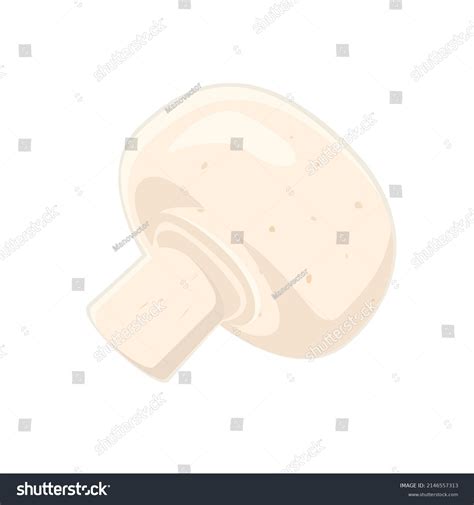 Mushroom Isolated On White Background Vector Stock Vector (Royalty Free ...